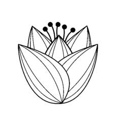Coloring page: Tulip (Nature) #161681 - Free Printable Coloring Pages