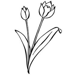 Coloring page: Tulip (Nature) #161697 - Free Printable Coloring Pages