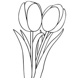 Coloring page: Tulip (Nature) #161700 - Printable coloring pages