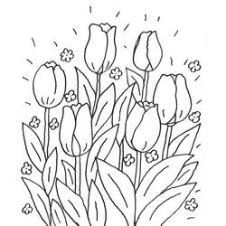 Coloring page: Tulip (Nature) #161702 - Free Printable Coloring Pages