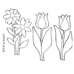 Coloring page: Tulip (Nature) #161704 - Free Printable Coloring Pages