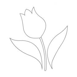 Coloring page: Tulip (Nature) #161710 - Free Printable Coloring Pages