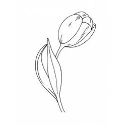 Coloring page: Tulip (Nature) #161732 - Free Printable Coloring Pages