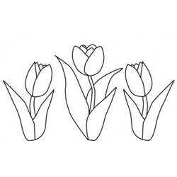 Coloring page: Tulip (Nature) #161755 - Printable coloring pages