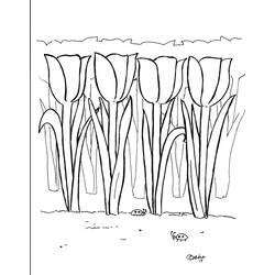 Coloring page: Tulip (Nature) #161757 - Printable coloring pages