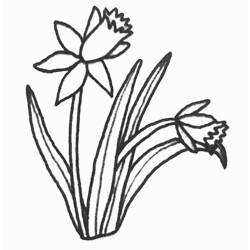Coloring page: Tulip (Nature) #161759 - Free Printable Coloring Pages