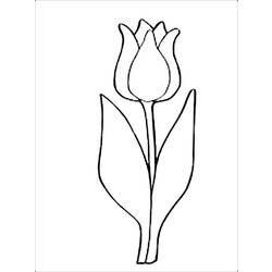 Coloring page: Tulip (Nature) #161791 - Printable coloring pages