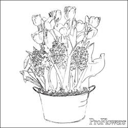 Coloring page: Tulip (Nature) #161792 - Free Printable Coloring Pages