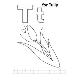 Coloring page: Tulip (Nature) #161796 - Free Printable Coloring Pages