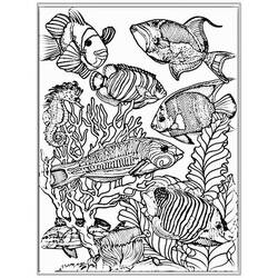 Aquarium (Objects) coloring page #184556 to print and color