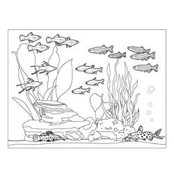 Aquarium (Objects) coloring page #184563 to print and color