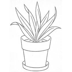 Flower Pot (Objects) coloring page #221268 to print and color