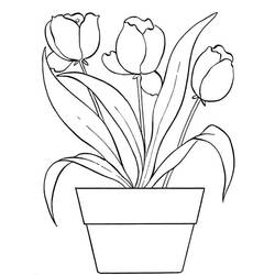 Flower Pot (Objects) coloring page #221273 to print and color