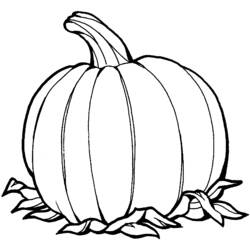Coloring page: Pumpkin (Objects) #166814 - Printable coloring pages