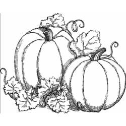 Coloring page: Pumpkin (Objects) #166934 - Printable coloring pages