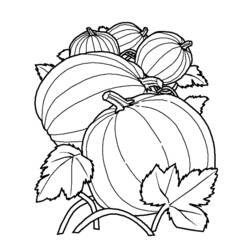 Coloring page: Pumpkin (Objects) #166946 - Free Printable Coloring Pages