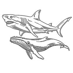 Megalodon (Prehistoric Animals) coloring page #220721 to print and color