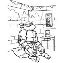 Ninja Turtles (Superheroes and Supervillains) coloring page #75384 to print and color