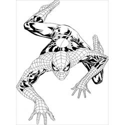 Spider-Man (Superheroes and Supervillains) coloring page #176646 to print and color