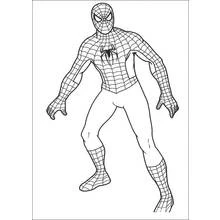 Coloring page: Spider-Man (Superheroes and Supervillains) #78651 - Free Printable Coloring Pages