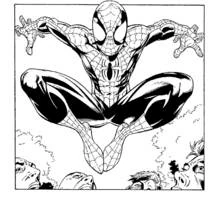 Coloring page: Spider-Man (Superheroes and Supervillains) #78710 - Free Printable Coloring Pages