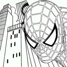 Coloring page: Spider-Man (Superheroes and Supervillains) #78727 - Free Printable Coloring Pages