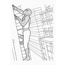Coloring page: Spider-Man (Superheroes and Supervillains) #78811 - Free Printable Coloring Pages