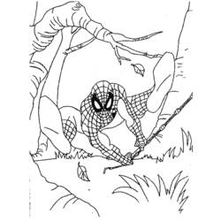 Coloring page: Spiderman (Superheroes) #78750 - Free Printable Coloring Pages