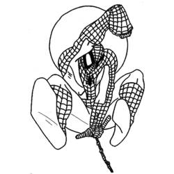 Coloring page: Spiderman (Superheroes) #78960 - Free Printable Coloring Pages