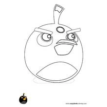 Angry Birds (Video Games) coloring page #25140 to print and color