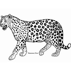 猎豹 - 免费可打印着色页