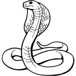 眼镜蛇 (动物)着色页 #3223 可打印和着色